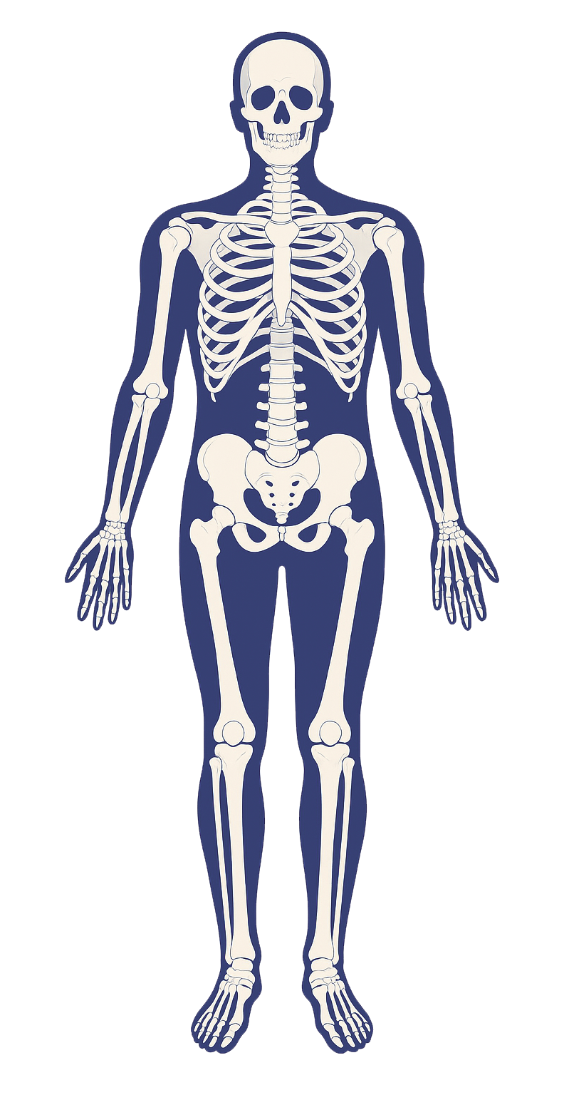 Healthcare Global Experience