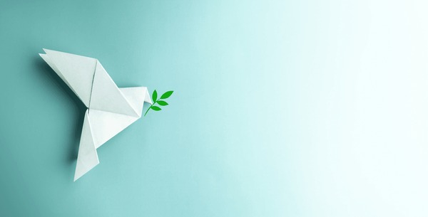 Cold Chain Management