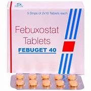 FEBUGET 40MG TAB